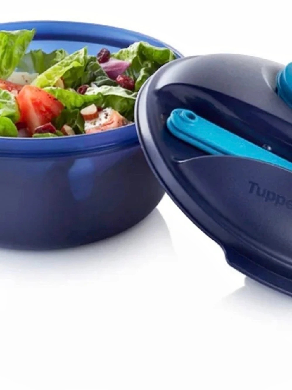 Tupperware Blue Food Storage Container salad on the go set